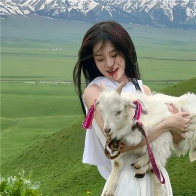 欢乐龙虎榜